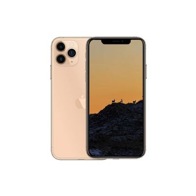 iPhone 11 Series